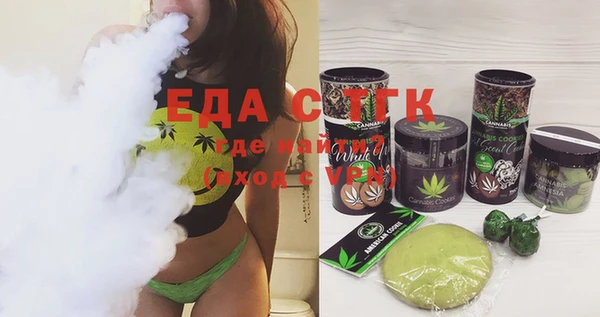 индика Медвежьегорск