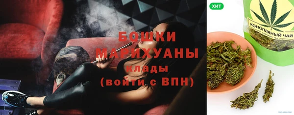 индика Медвежьегорск