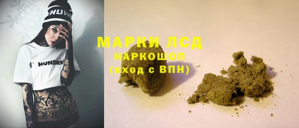 индика Медвежьегорск