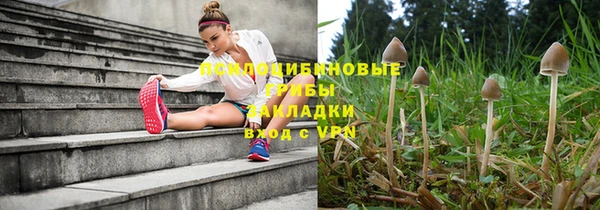 индика Медвежьегорск