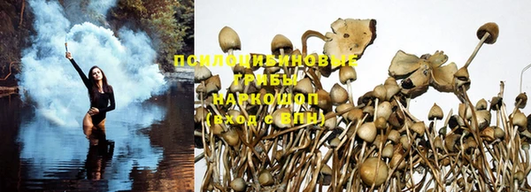 мдма Медногорск