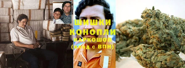 ПСИЛОЦИБИНОВЫЕ ГРИБЫ Михайловка