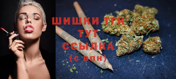 индика Медвежьегорск