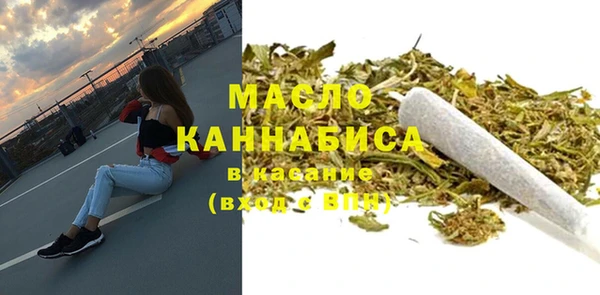 индика Медвежьегорск