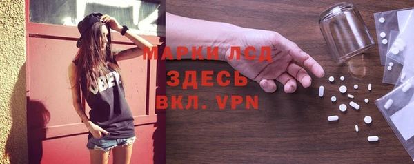 индика Медвежьегорск