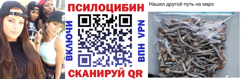 ссылка на мегу ССЫЛКА  Яблоновский  Псилоцибиновые грибы мухоморы  цена  